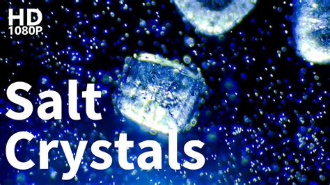 Dissolving Salt And Crystallization Under Microscope - YouTube