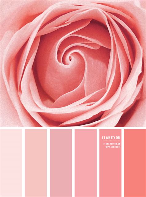 Color Inspiration : Rose Pink Tones I Take You | Wedding Readings ...