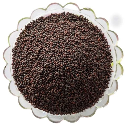 Buy Coorg Mustard Seeds - Premium Quality, Coorg Spices Shop