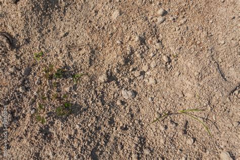 Red dirt (soil) background or texture. Stock Photo | Adobe Stock