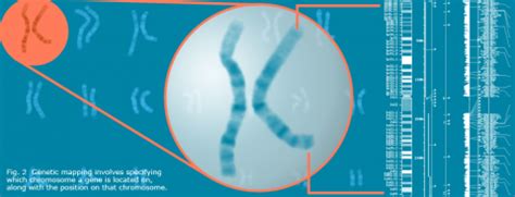 Chapter 5: Linkage – Crop Genetics