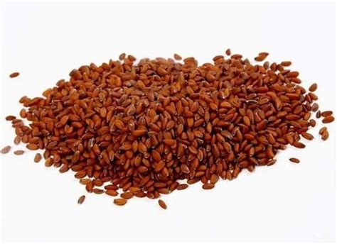 Lepidium Sativum Seeds at best price in Akola by Dhirajlal Jagjivan ...