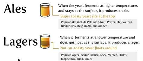 brewing - What is the difference between an ale and a lager? - Beer ...