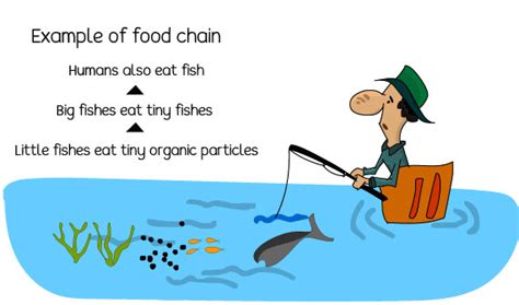 Effects Of Water Pollution