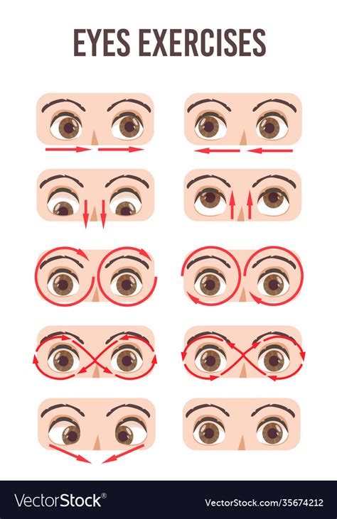 Eye exercise set movement for eyes relaxation Vector Image