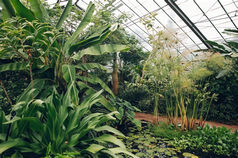 The University of Dundee Botanic Garden — Haarkon