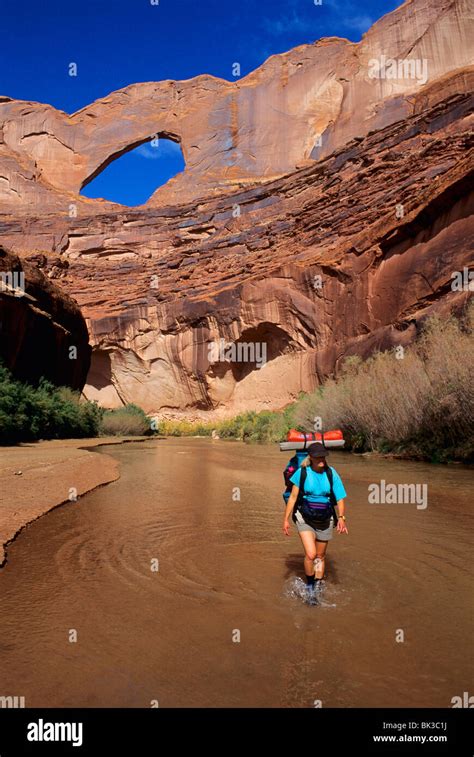 Hiking in the Escalante River below Steven's Arch, Coyote Gulch Stock ...