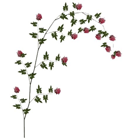 Rose Vine PNG HD Transparent Rose Vine HD.PNG Images. | PlusPNG