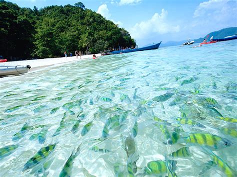 Coral Island Day Tour by Speed Boat