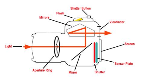 Understanding Your Camera's Settings: There's More To Taking Pictures ...