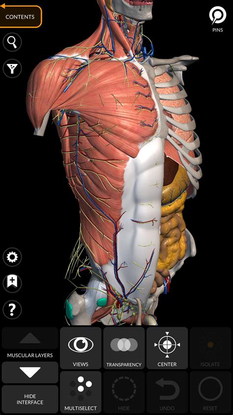 Anatomy 3D Atlas APK for Android Download