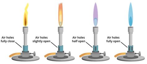 Bunsen Burner Decoded: Principle, Types & Uses