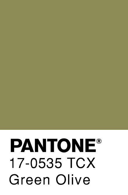 Green Olive Pantone | Pantone palette, Pantone green, Green palette