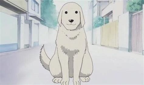 Top 20 Cute Anime Dogs - MyAnimeList.net