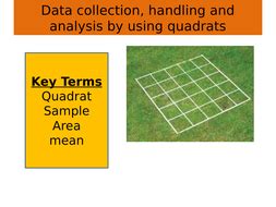 Data collection, handling and analysis: using quadrat | Teaching Resources