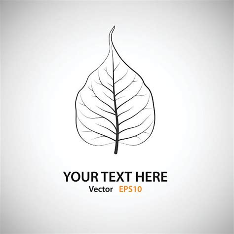 40+ Bodhi Leaf Stock Illustrations, Royalty-Free Vector Graphics & Clip ...