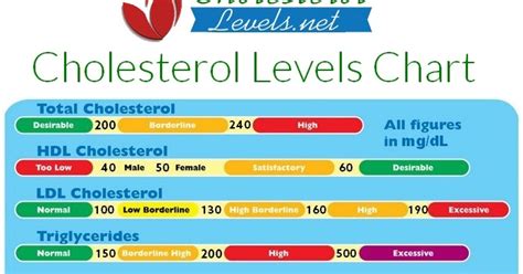 Riding On: Cholesterol Hell