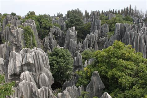 Day trip to Shilin, Stone Forest near Kunming, China | Cooking in Tongues