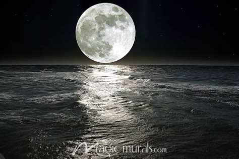 Moon Over Ocean Wallpaper Wall Mural by Magic Murals