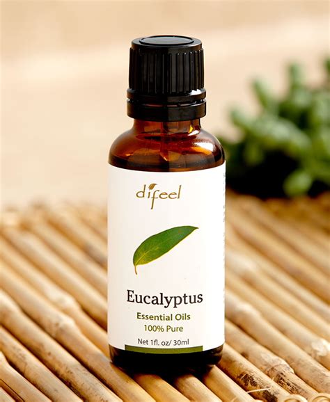 Aromatherapy Diffuser Eucalyptus Oil - Walmart.com