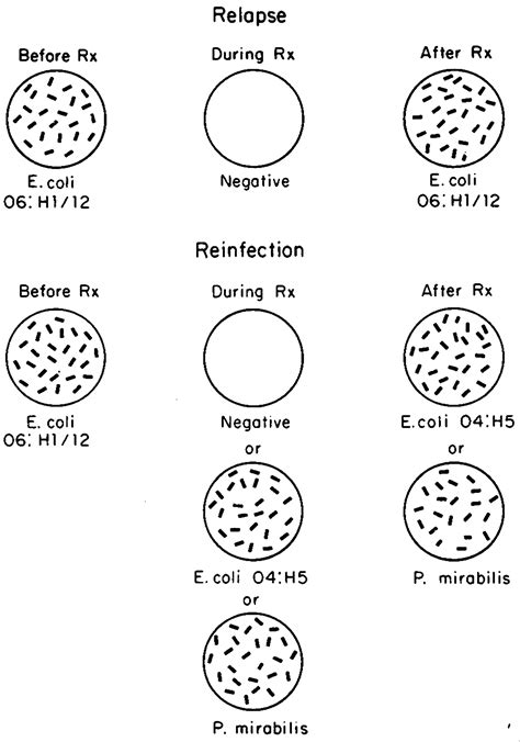 Relapse and Reinfection in Chronic Bacteriuria | NEJM