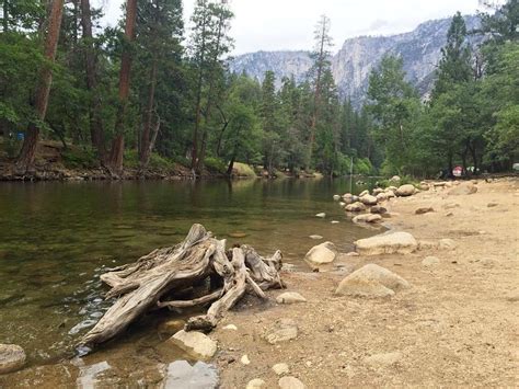 UPPER PINES CAMPGROUND (Parque Nacional de Yosemite, CA)