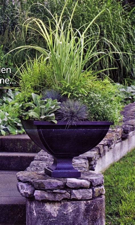 Beautiful green container garden | garden | Pinterest