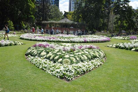 City Botanic Gardens | Brisbane Parks | Must Do Brisbane