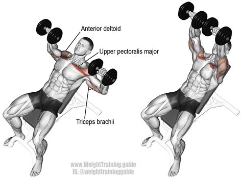 Incline dumbbell bench press instructions and video | WeightTraining.Guide