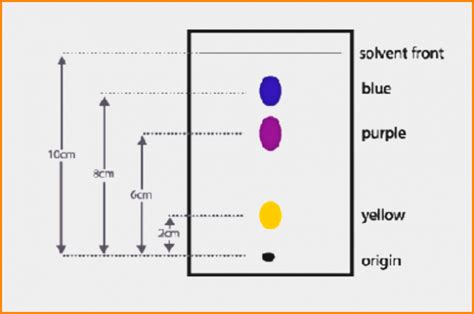 What is Paper Chromatography? Principle and Procedure