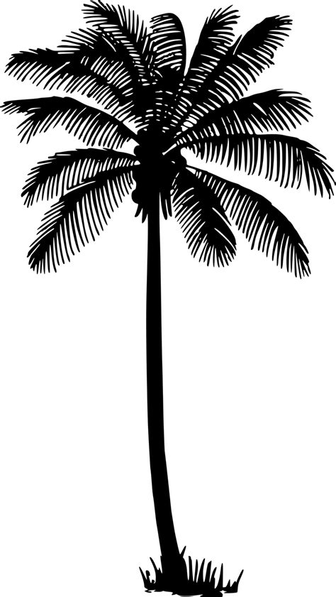 Free Palm Tree Vector Silhouette, Download Free Palm Tree Vector ...