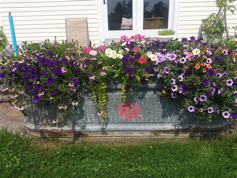 Container Gardening Old Water Trough planter | Garden troughs, Garden ...