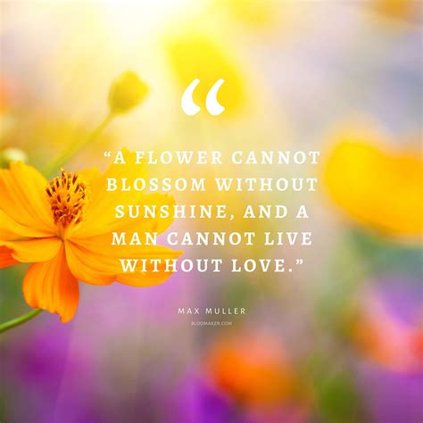 55 Inspirational Flower Quotes - Beautiful Motivational Sayings with ...