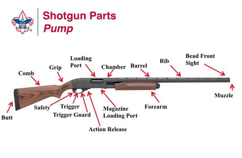 The Ultimate Guide to Understanding Pump Action Shotgun Diagrams