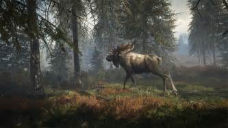 theHunter Call of the Wild Moose Forest - Avalanche Studios