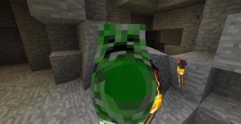 Fat Creeper | Minecraft Fanfictions Wiki | FANDOM powered by Wikia