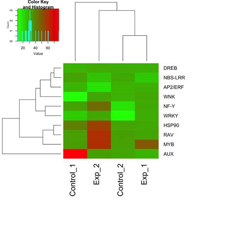 Gene Expression Heat Map