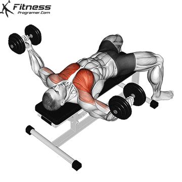 Dumbbell Fly Muscles