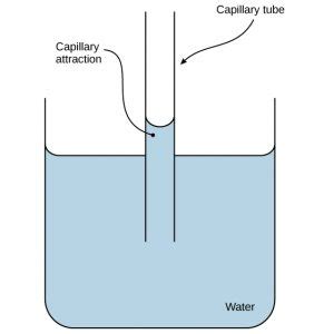 What is capillary action? - bitWise Academy