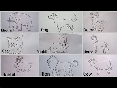 Drawings Of Animals