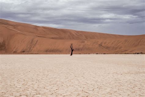 The Rain Shadow Effect | Wildland Trekking Blog