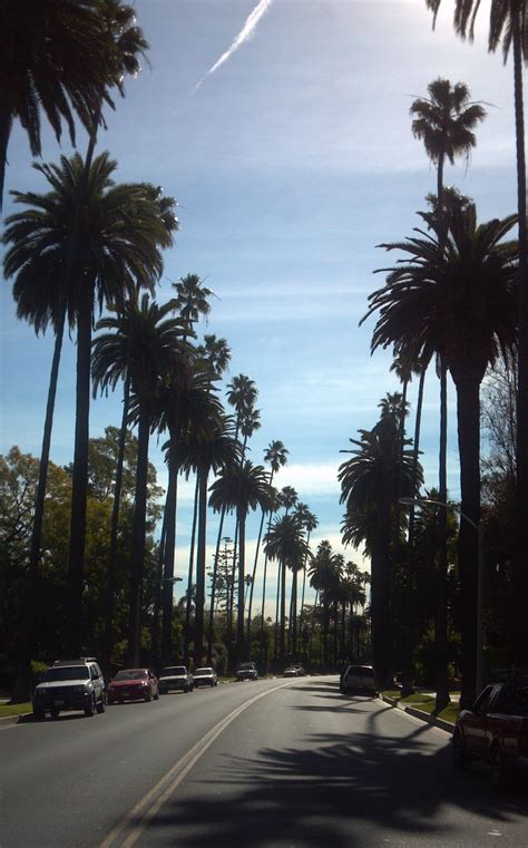 Weather in Los Angeles During December and January is Wonderful