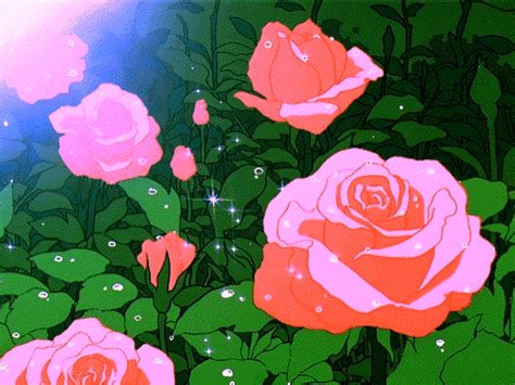 three pink roses with green leaves and bubbles