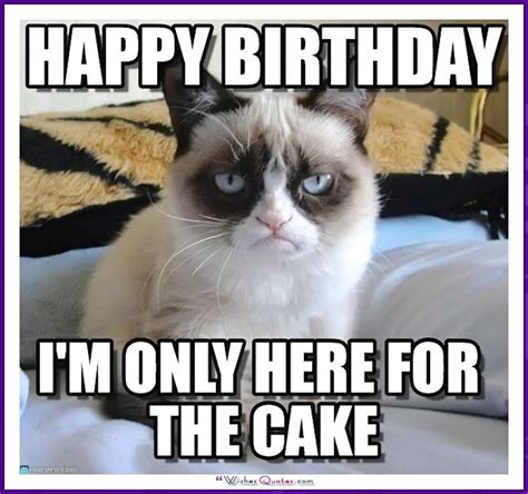 Happy Birthday Grumpy Cat Meme