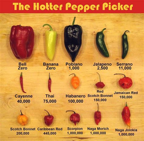 The Hotter Pepper Picker | Stuffed peppers, Stuffed hot peppers, Hot ...