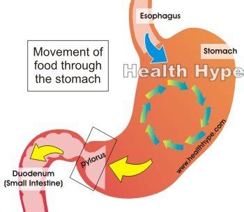 Stomach Churning Sensation (Feeling), Causes, Remedies | Healthhype.com