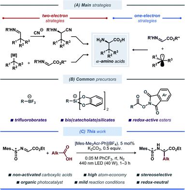 Stereoselective synthesis of unnatural α-amino acid derivatives through ...