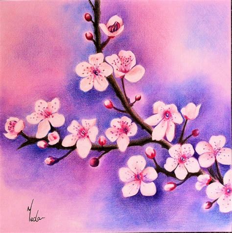 Cherry Blossoms - Original Coloured Pencil Art - Beautiful Flowers Wall ...