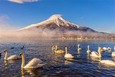 Mount Fuji - WorldAtlas