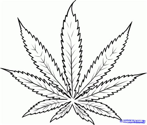 Hemp Drawing at GetDrawings | Free download